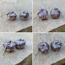 Load image into Gallery viewer, Rain Frog Earrings (Made to order)