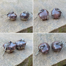 Load image into Gallery viewer, Rain Frog Earrings (PRE-ORDER for JANUARY/FEBRUARY Please read description!)