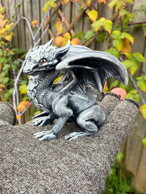 White Companion Dragon