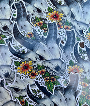 Load image into Gallery viewer, Dragon Skull Colour Vinyl Sticker